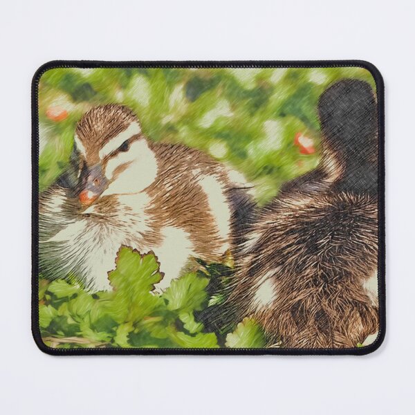Item preview, Duck, duck… designed and sold by Amy Houston.