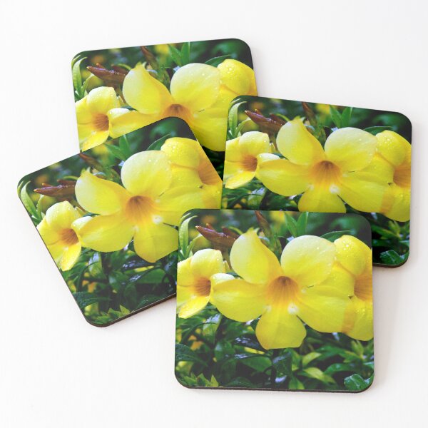 Item preview, Allamanda Cathartica Flower A designed and sold by MercerImages.