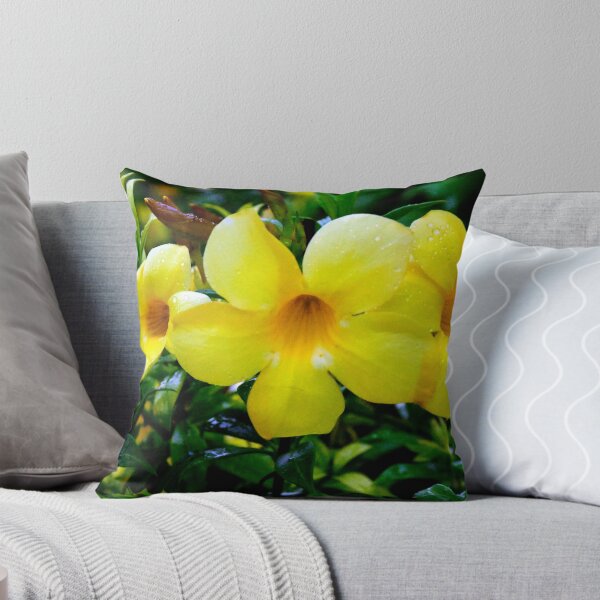 Item preview, Allamanda Cathartica Flower A designed and sold by MercerImages.