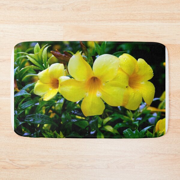 Item preview, Allamanda Cathartica Flower A designed and sold by MercerImages.