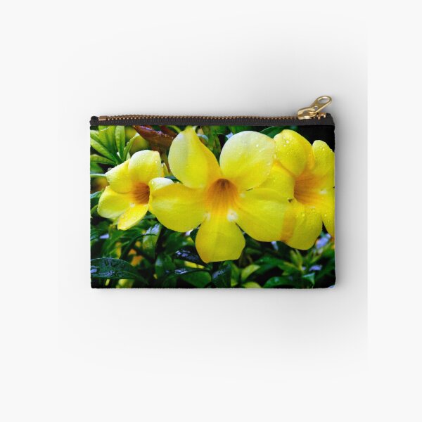 Item preview, Allamanda Cathartica Flower A designed and sold by MercerImages.