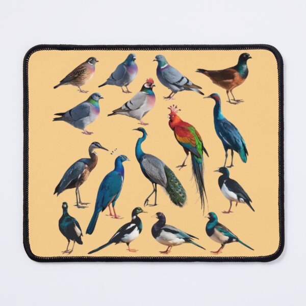 Item preview, Birds Collection designed and sold by 123ks.