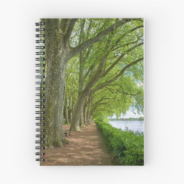 Item preview, Path with plane trees near the Vienne river in Chinon, France designed and sold by Photopat.