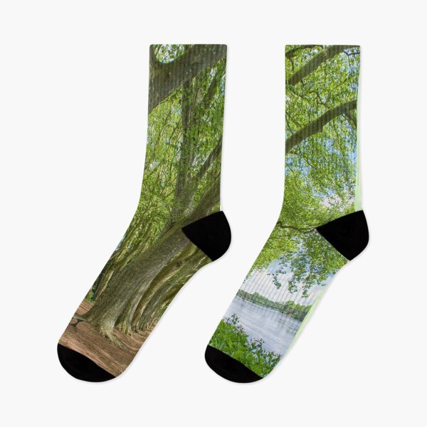 Item preview, Path with plane trees near the Vienne river in Chinon, France designed and sold by Photopat.