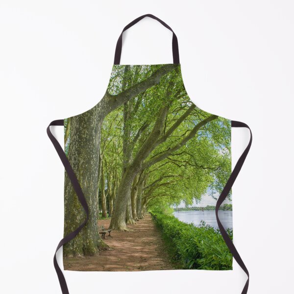 Item preview, Path with plane trees near the Vienne river in Chinon, France designed and sold by Photopat.