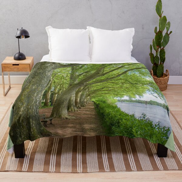 Item preview, Path with plane trees near the Vienne river in Chinon, France designed and sold by Photopat.