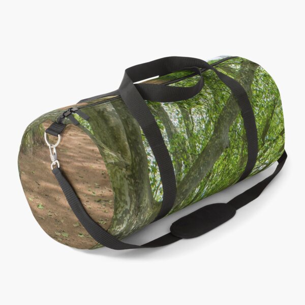 Item preview, Path with plane trees near the Vienne river in Chinon, France designed and sold by Photopat.