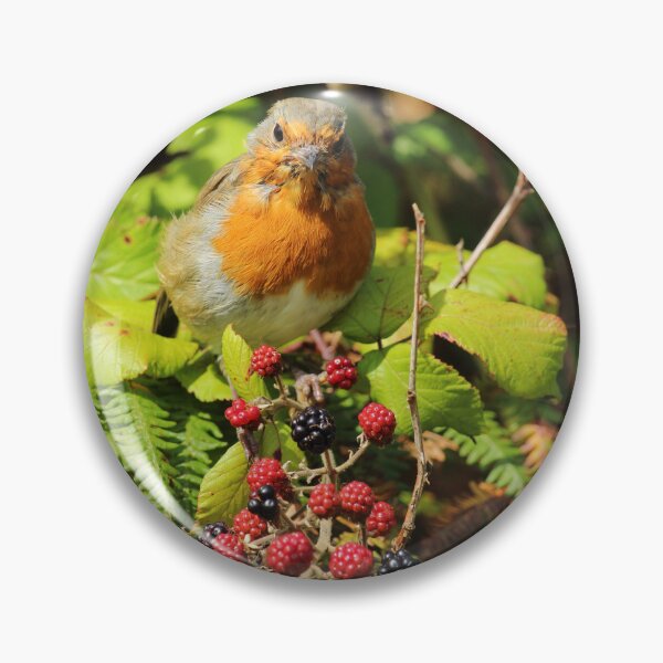 Item preview, European Robin Inch Island Berries Vertical designed and sold by eddiebarronshop.