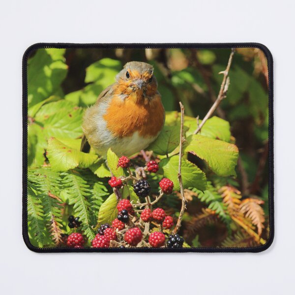 Item preview, European Robin Inch Island Berries Vertical designed and sold by eddiebarronshop.