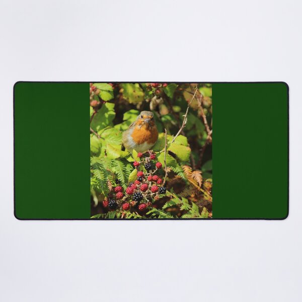 Item preview, European Robin Inch Island Berries Vertical designed and sold by eddiebarronshop.