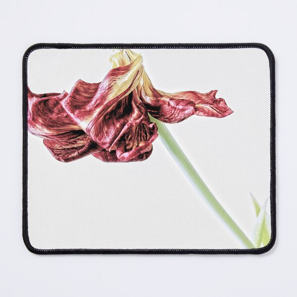 Item preview, Danse Macabre - Wilted Tulip designed and sold by James Aiken.