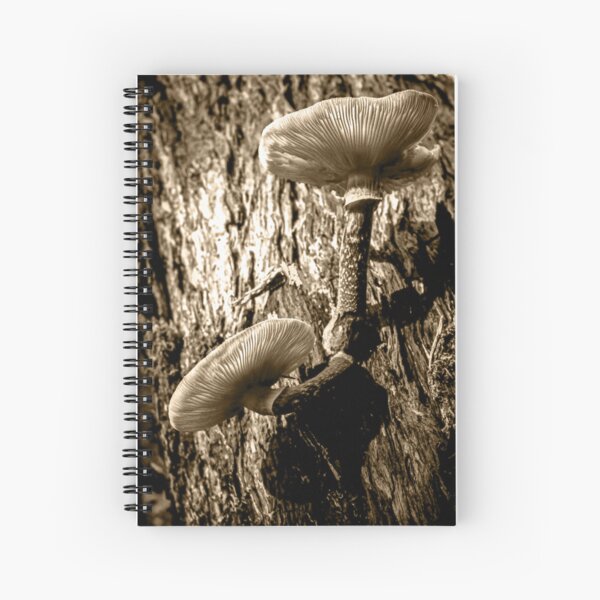 Item preview, Oyster Mushroom - Sepia designed and sold by James Aiken.