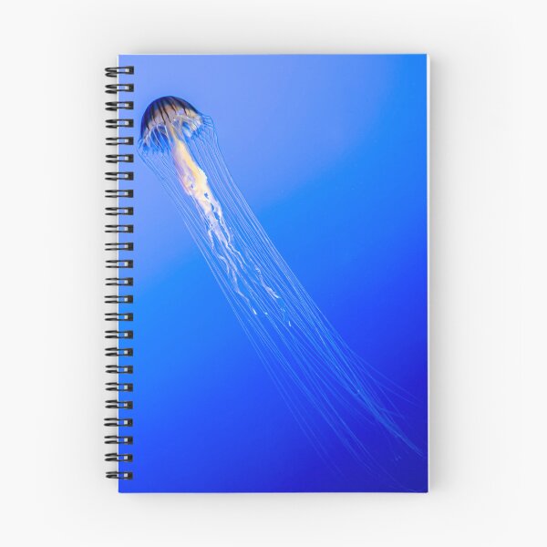 Item preview, Medusozoa designed and sold by James Aiken.