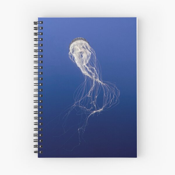 Item preview, Medusozoa Dance designed and sold by James Aiken.