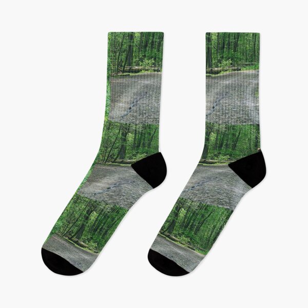 Item preview, Fantasy Landscape Grizzly Meets Rattler designed and sold by handsomenudes.