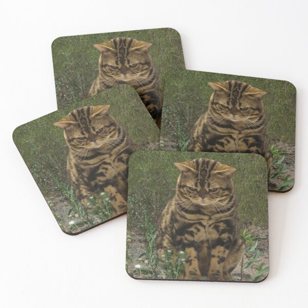 Item preview, What's That Thing Over There? designed and sold by heatherfriedman.
