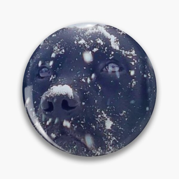 Item preview, Black Labrador Snow designed and sold by Saky08.