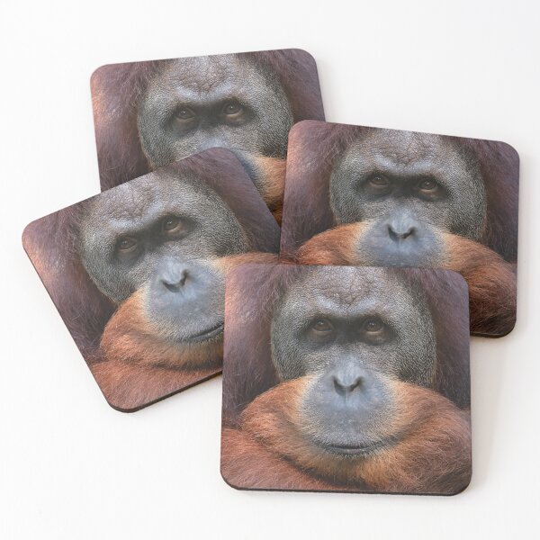 Item preview, Portrait of an orangutan in close-up designed and sold by Klyakhin.