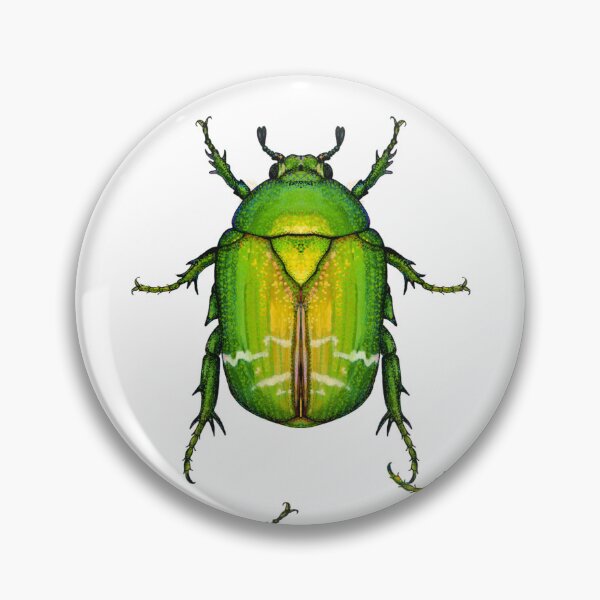 Item preview, EUROPEAN ROSE CHAFER designed and sold by joancaronil.
