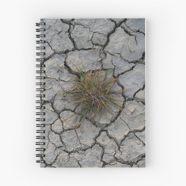 Item preview, Drought designed and sold by Klyakhin.