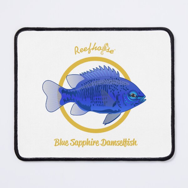 Item preview, Blue Sapphire Damselfish designed and sold by KaplanCrypto.