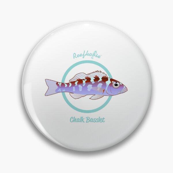 Item preview, Chalk Basslet designed and sold by KaplanCrypto.