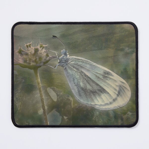 Item preview, Butterfly Insect Nature Meadow Pollinator designed and sold by SoulscapeStudio.