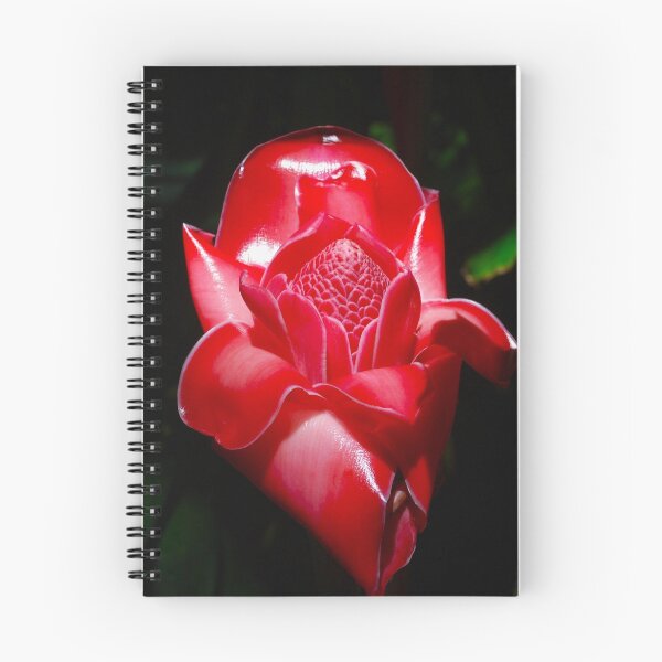 Item preview, Red Torch Ginger designed and sold by RocDrAdventures.