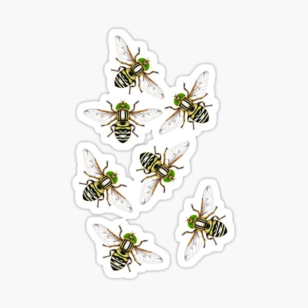 Item preview, ERISTALINUS HOVERFLY designed and sold by joancaronil.