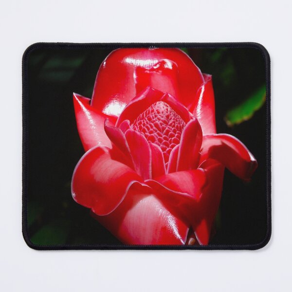 Item preview, Red Torch Ginger designed and sold by RocDrAdventures.