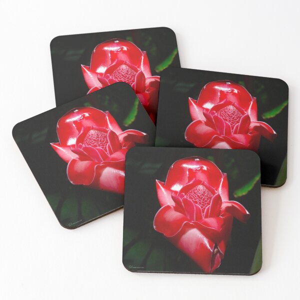 Item preview, Red Torch Ginger designed and sold by RocDrAdventures.