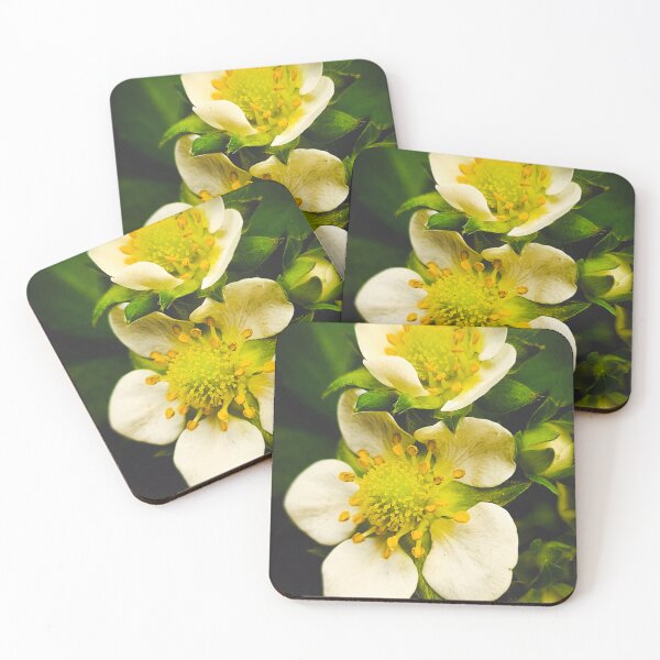 Item preview, Anemones  designed and sold by bluerosesart37.