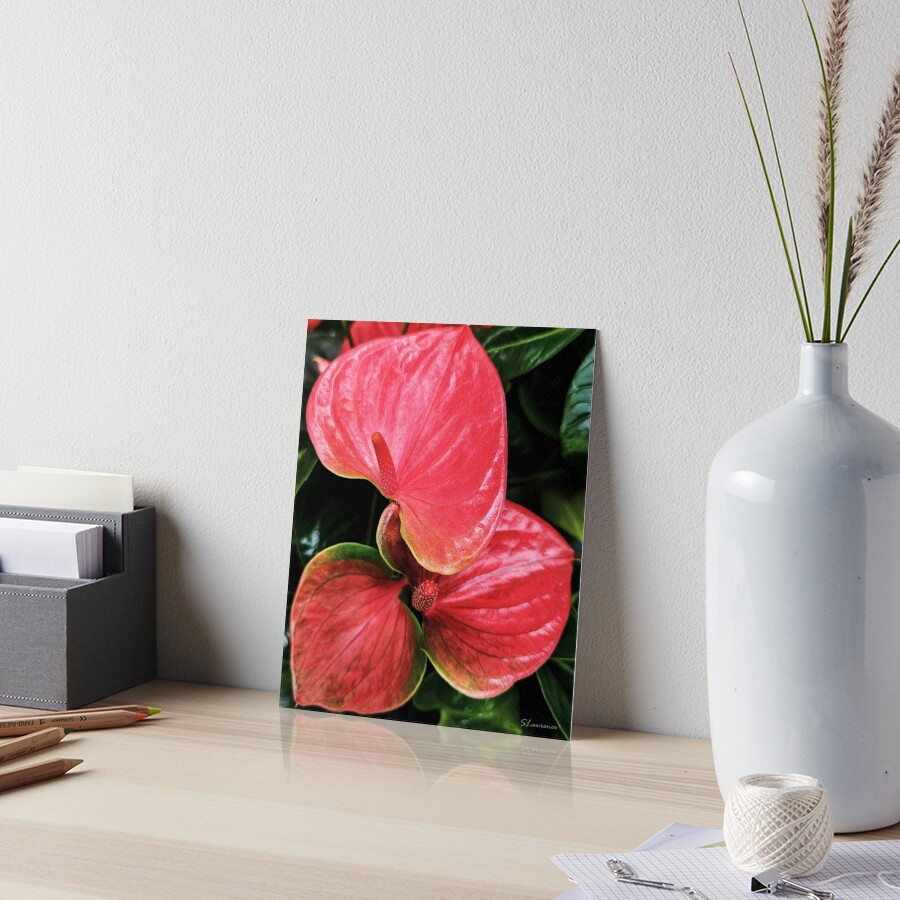 Item preview, Art Board Print designed and sold by RocDrAdventures.