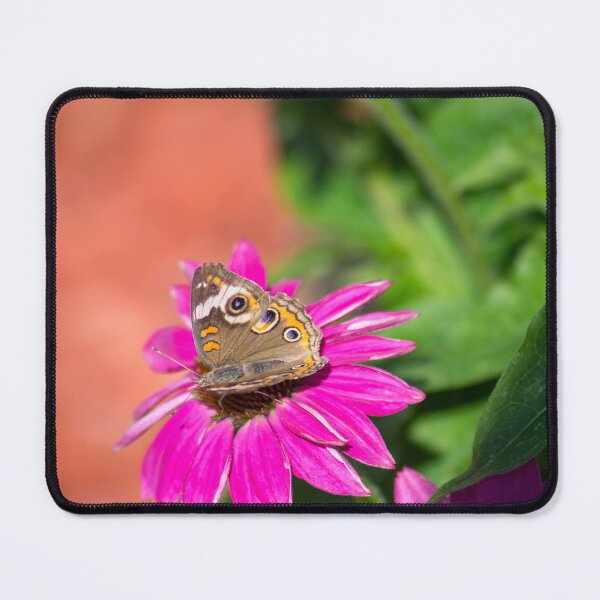 Item preview, Buckeye Butterfly Macro designed and sold by Debra Martz.