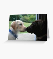 COME OUT AND PLAY WITH ME Greeting Card