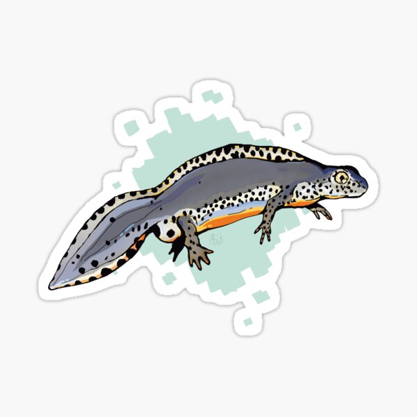 Item preview, Alpine Newt designed and sold by Artvalis.