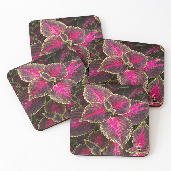 Item preview, Colourful Coleus designed and sold by Gerda Grice Photography.