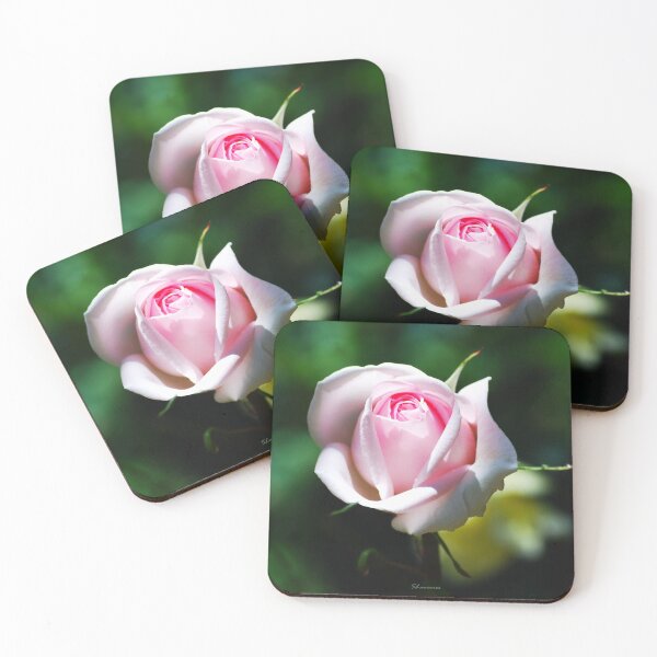 Item preview, Light Pink Rose designed and sold by RocDrAdventures.