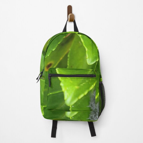 Item preview, Nature's Cradle designed and sold by Brand-C-Arts.