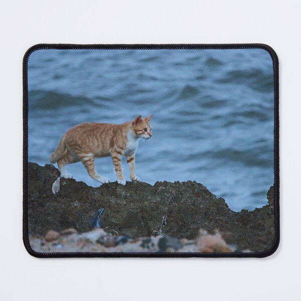 Item preview, Cat at Sea designed and sold by Todo Gloria.