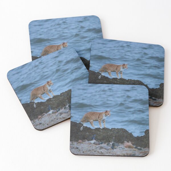 Item preview, Cat at Sea designed and sold by Todo Gloria.