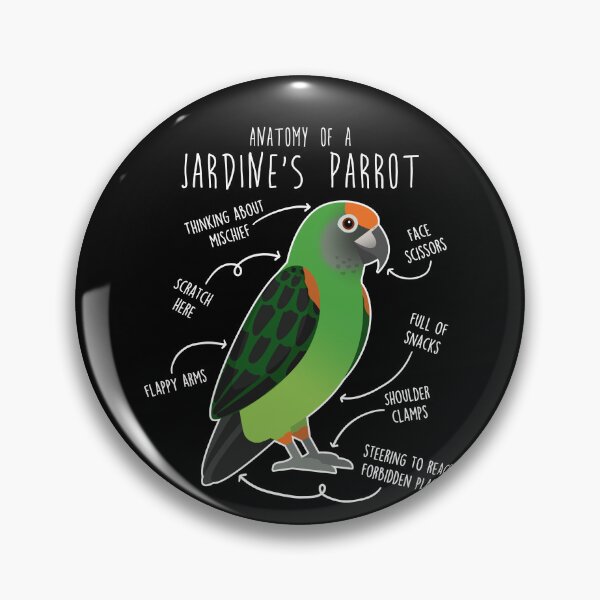 Item preview, Jardine's Parrot Anatomy designed and sold by Clara Hollins.