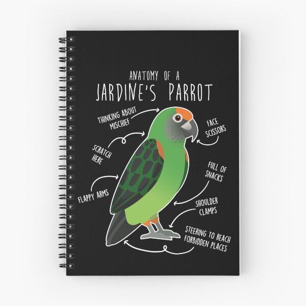 Item preview, Jardine's Parrot Anatomy designed and sold by Clara Hollins.