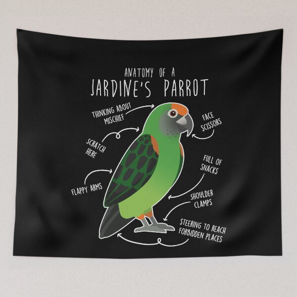 Item preview, Jardine's Parrot Anatomy designed and sold by Clara Hollins.