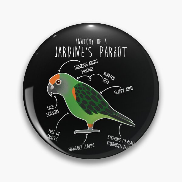 Item preview, Jardine's Parrot Anatomy designed and sold by Clara Hollins.