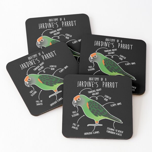 Item preview, Jardine's Parrot Anatomy designed and sold by Clara Hollins.