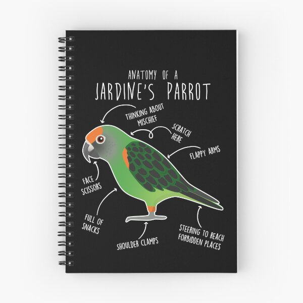 Item preview, Jardine's Parrot Anatomy designed and sold by Clara Hollins.