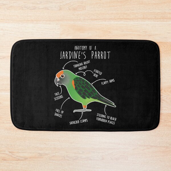 Item preview, Jardine's Parrot Anatomy designed and sold by Clara Hollins.