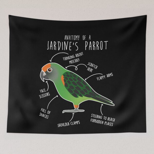 Item preview, Jardine's Parrot Anatomy designed and sold by Clara Hollins.