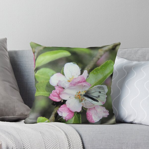 Item preview, Small White Butterfly on Apple Blossom designed and sold by WesternExposure.